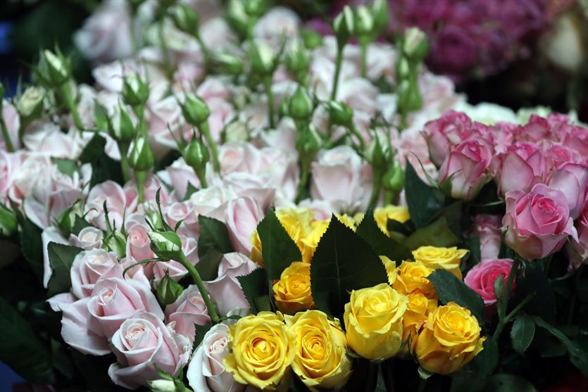 przyjazna Kwiaciarnie, Magia Dekoracji Edyta Kliber, Żelazków